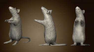 3D модель Крыса 2 (STL)